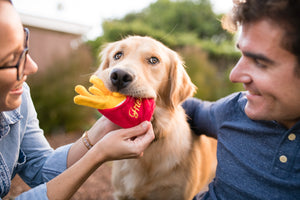 P.L.A.Y. American Classic  French Fries - in a Golden Retreiver's mouth between dog mom and dad smiling