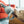 Load image into Gallery viewer, P.L.A.Y. Big Five of Africa Collection - Elephant Toy behind tugged on with human and dog in front of a red couch
