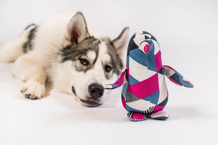 Dog lying next to P.L.A.Y. Upcycled Zoo Pal Penguin plush toy on a white background