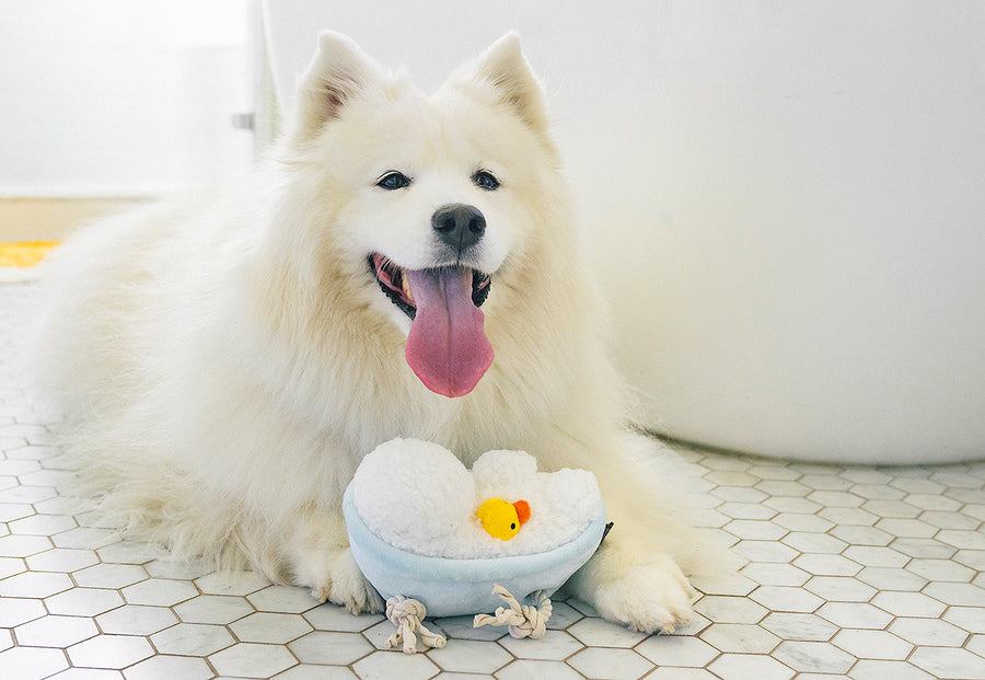 P.L.A.Y. Splish Splash Collection - fluffy white dog on bathroom tile floor with tub-shaped toy