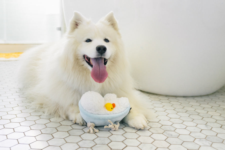 P.L.A.Y. Splish Splash Collection - Rub-a-dub-Tub Toy - white fluffy dog smiling in front of tub with toy in between paws