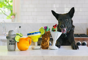 P.L.A.Y. Barktender Collection - Beautiful black dog with paws on counter starring at the five cocktail-themed toys