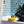 Load image into Gallery viewer, P.L.A.Y. Splish Splash Collection - Bubbles the Duck Toy on rim of tub with black Scottish Terrier nose to beak inside the bathtub with pretty blue tile behind it and cream shower curtain to the side 
