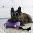 Load image into Gallery viewer, P.L.A.Y.'s Splish Splash Collection - Howlin' Hair Dryer Toy underneath black Scottish Terrier Dog's head on white tile floor in bathroom
