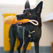 Load image into Gallery viewer, P.L.A.Y. Splish Splash Collection - black dog with scrub brush toy in mouth looking up in bathroom
