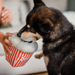 Load image into Gallery viewer, P.L.A.Y. Hollywoof Cinema Poppin&#39; Pupcorn Toy - little black dog biting a kernal out of the box while dog mom is holding on
