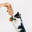 Load image into Gallery viewer, Person holding P.L.A.Y. Feline Frenzy Purrfect Pairings Toy Set, interacting with a black and white cat on a plain background
