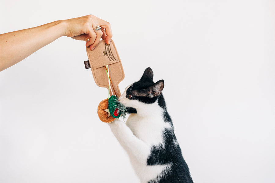 Person holding P.L.A.Y. Feline Frenzy Purrfect Pairings Toy Set, interacting with a black and white cat on a plain background