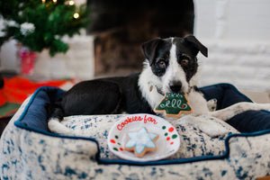 P.L.A.Y. Merry Woofmas Christmas Eve Cookies - black and white dog with Christmas Tree cookie in it's mouth laying in a lounge bed with Christmas Tree and fireplace in the background