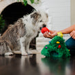 Load image into Gallery viewer, P.L.A.Y. Merry Woofmas Doglas Fur - shaggy dog biting red ornament from human's hand
