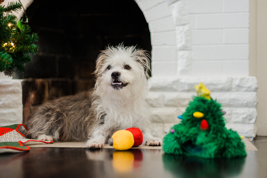 P.L.A.Y. Merry Woofmas Doglas Fur - shaggy dog smiling with ornaments between paws and Christmas Tree nearby