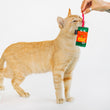 Load image into Gallery viewer, Cat playing with ketchup packet from P.L.A.Y. Feline Frenzy Toma-toe Beans toy set held by a person on a white background
