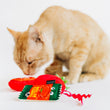 Load image into Gallery viewer, A ginger cat sniffing P.L.A.Y. Feline Frenzy Toma-toe Beans toy set on a white background
