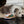 Load image into Gallery viewer, P.L.A.Y. Merry Woofmas Christmas Eve Cookies - shaggy dog laying next to plate of cookies on the ground
