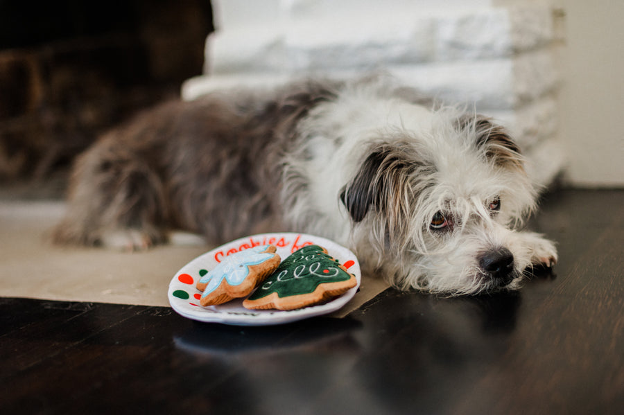 P.L.A.Y. Merry Woofmas Christmas Eve Cookies - shaggy dog laying next to plate of cookies on the ground