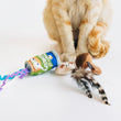 Load image into Gallery viewer, P.L.A.Y. Feline Frenzy Purrfectly Fungi toy set with all three toys sitting in front of ginger cat&#39;s paws on a white background
