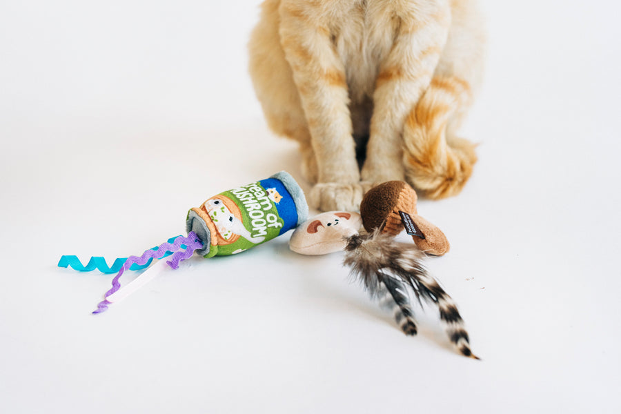 P.L.A.Y. Feline Frenzy Purrfectly Fungi toy set with all three toys sitting in front of ginger cat's paws on a white background