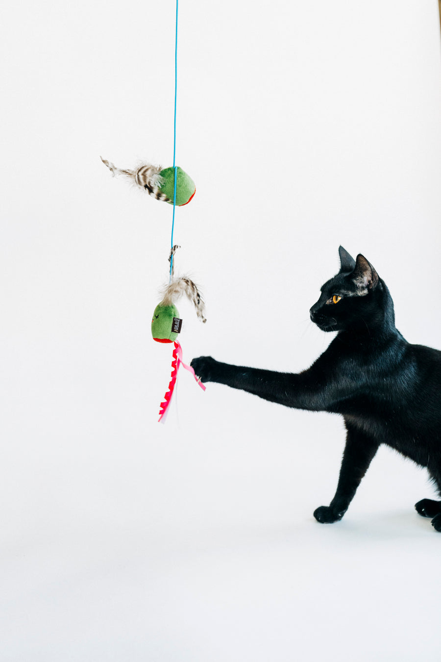 Black cat pawing the hanging feathers on P.L.A.Y. Feline Frenzy Purrfectly Pitted Wand Toy on a white background