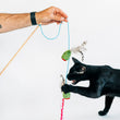 Load image into Gallery viewer, Person holding the P.L.A.Y. Purrfectly Pitted Wand Toy in their hand while a black cat claws and bites the olive on a white background
