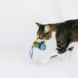 Load image into Gallery viewer, Cat carrying cream of mushroom can toy from P.L.A.Y. Feline Frenzy Purrfectly Fungi toy set in its mouth while walking across a white background
