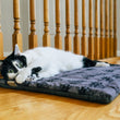 Load image into Gallery viewer, Cat lying on P.L.A.Y. Feline Frenzy Cat Nap Pad by a wooden staircase
