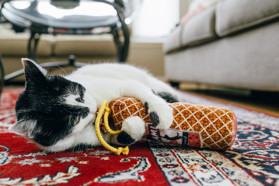 Cat playing with P.L.A.Y. Feline Frenzy Salami Slammer Kicker Toy on a red patterned rug