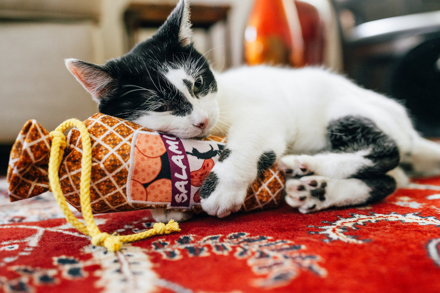 A cat playing with P.L.A.Y. Feline Frenzy Salami Slammer Kicker Toyon a red patterned rug