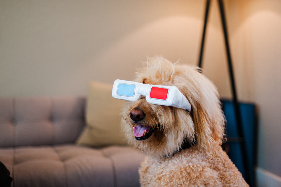 P.L.A.Y. Hollywoof Cinema 3-Dog Glasses Toy - Goldendoodle wearing them on his face smiling in living room