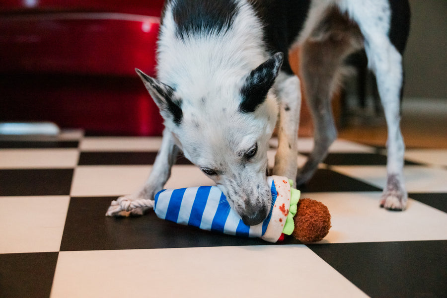 Dog playing with P.L.A.Y. falafel wrap striped toy on a checkered floor