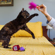 Load image into Gallery viewer, P.L.A.Y. Feline Frenzy Fig N’ Whiskers Toy Set  - A person dangling the fig slice toy with bright pink feathers bursting out of the top above a beautiful cat&#39;s head, while the cat tries to paw it, on a yellow bed.
