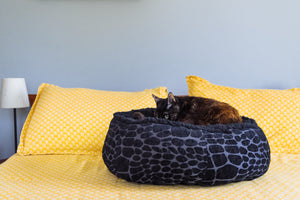 Cat curled up in P.L.A.Y. Feline Frenzy Donut Cuddler Bed - Kalahari Black on bed with yellow pillows and a blue wall in the background