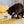 Load image into Gallery viewer, A black and brown cat playing with P.L.A.Y. Feline Frenzy Kitty Crumble Toy Set on a yellow bedspread
