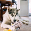 Load image into Gallery viewer, Dog biting and pulling on the newspaper part of P.L.A.Y. International Classic Chippy Chews toy in the dining room on the carpeted floor with plush fish toy in front
