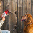 Load image into Gallery viewer, Cabot Creamery x P.L.A.Y. Seriously Sharp Squeaker with dog mom croching down to hand the toy to her Golden Retreiver brown dog in front of a wooden gate, while both look into each other's eyes

