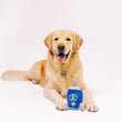 Load image into Gallery viewer, P.L.A.Y. Alien Buddies Starblaster Toy sitting in front of a golden retriever
