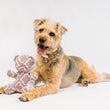 Load image into Gallery viewer, Dog with P.L.A.Y. Upcycled Zoo Pal Bear plush toy on a white background
