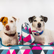 Load image into Gallery viewer, Two dogs sitting in P.L.A.Y. Mosaic Lounge Bed in Soda Pop, a geometric-pattern, with the P.L.A.Y. Upcycled Zoo Pal Penguin plush toy against a white background
