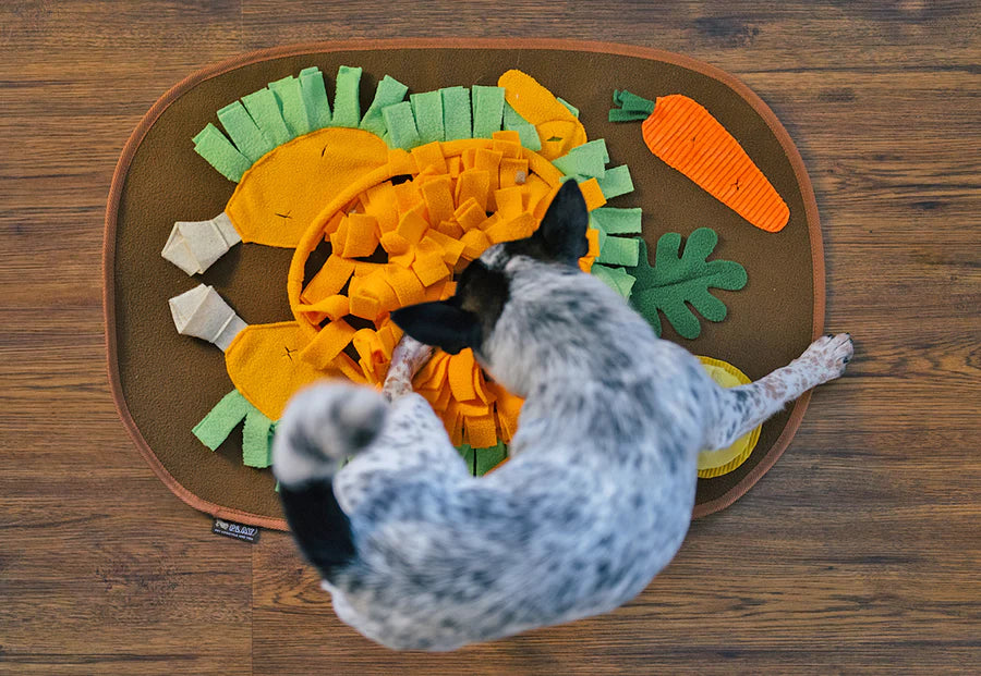 P.L.A.Y. Thanksgiving Snuffle Mat - little pup seeking sniffing out treats in turkey