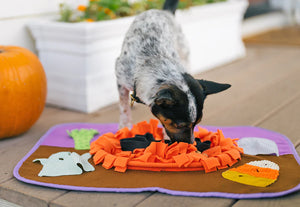 P.L.A.Y. Halloween Snuffle Mat - dog nosing the pumpkin in the center of the mat to find treats on porch