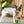 Load image into Gallery viewer, P.L.A.Y. 90s Classics Collection - Kick Flippin&#39; K9 Toy under the paw of small white spotted dog looking like it&#39;s being kickflipped on the sidewalk
