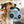 Load image into Gallery viewer, P.L.A.Y. 80s Classics Boop-Box Toy - handle in dog&#39;s mouth
