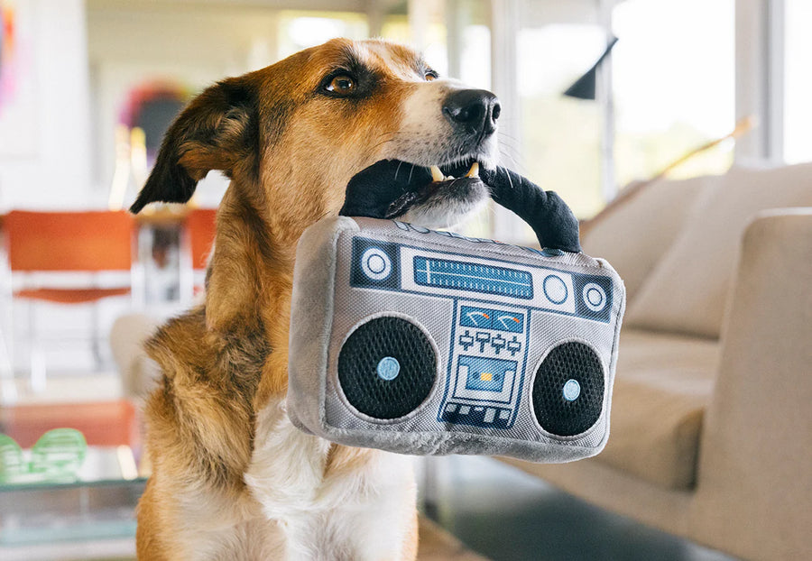 P.L.A.Y. 80s Classics Boop-Box Toy - handle in dog's mouth