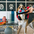 Load image into Gallery viewer, P.L.A.Y. 80s Classics Ready Player Fun Toy in dog&#39;s mouth
