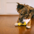 Load image into Gallery viewer, P.L.A.Y. Snack Attack Collection - Mini Swirls n&#39; Slobbers Soft Serve Toy being  chomped down on by a small brown dog on a wood floor
