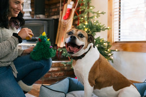 P.L.A.Y. Merry Woofmas Doglas Fur - smiling dog being offered Christmas Tree toy from dog mom
