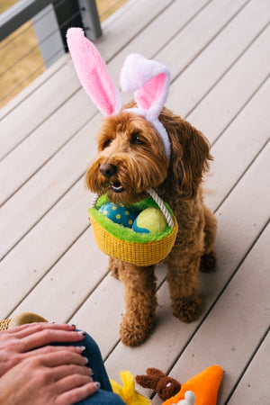 P.L.A.Y. Hippity Hoppity Collection - Eggs-cellent Basket Toy being held by rope handing in dog's mouth wearing bunny ears