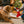 Load image into Gallery viewer, P.L.A.Y. Merry Woofmas Good Dog Stocking - dog mom offering stocking toy to dog and dog is locked in on the bone inside
