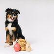 Load image into Gallery viewer, P.L.A.Y.&#39;s Picked Fresh Potato Pals Toy: Dog sitting looking down at the three toys on a white background
