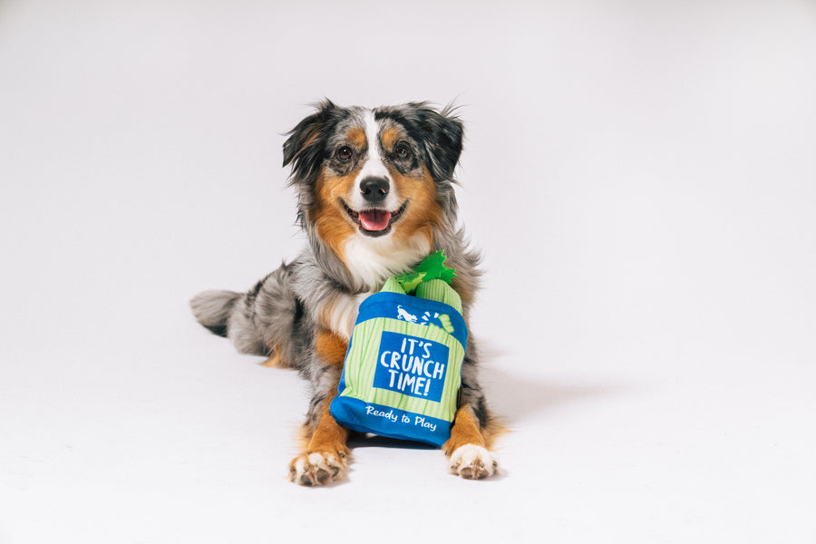 Picked Fresh Crunch Bunch 3-in-1 Celery Dog Toy by