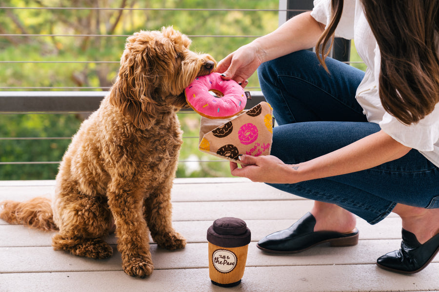 P.L.A.Y.'s Pup Cup Cafe Collection - Doughboy Donut Toy being offered to pup by dog mom on a balcony